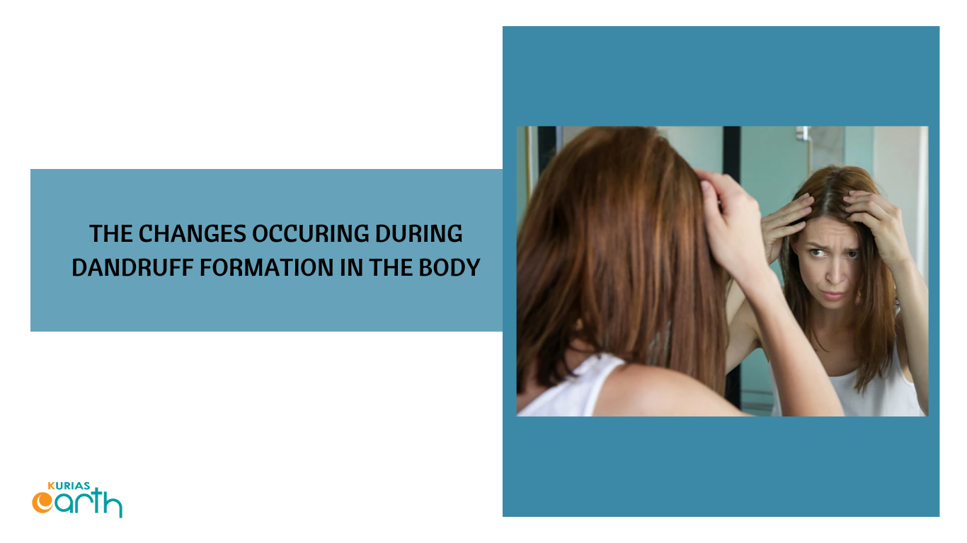 The changes occurring during dandruff formation in the body