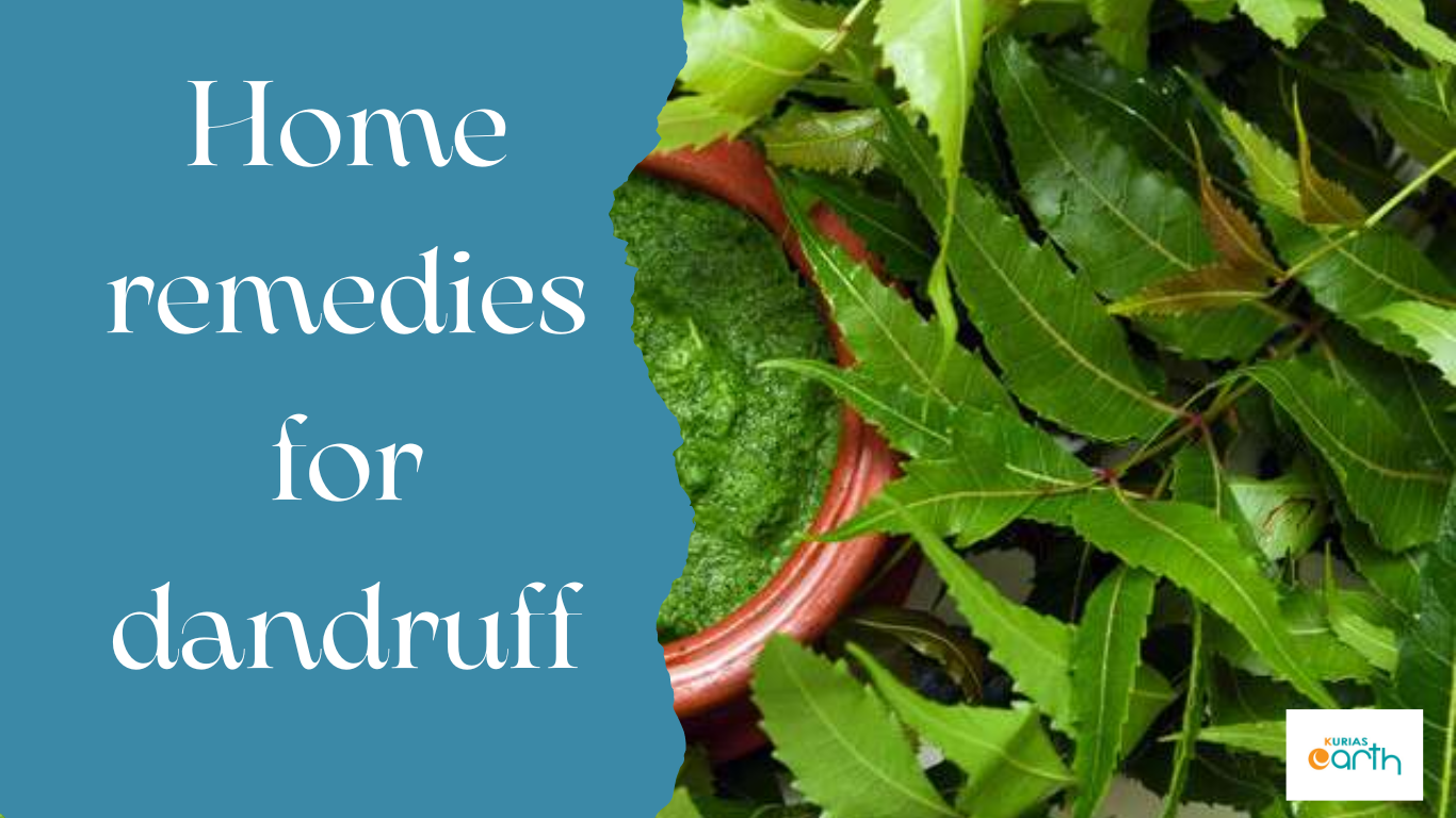 Home remedies for dandruff
