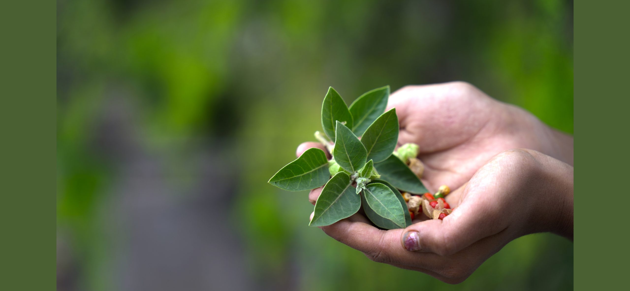 Mast Cell Activation Syndrome (MCAS) – Symptoms, Causes, and Ayurvedic Treatment